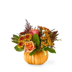 Honeyed Harvest Pumpkin -A local Pittsburgh florist for flowers in Pittsburgh. PA